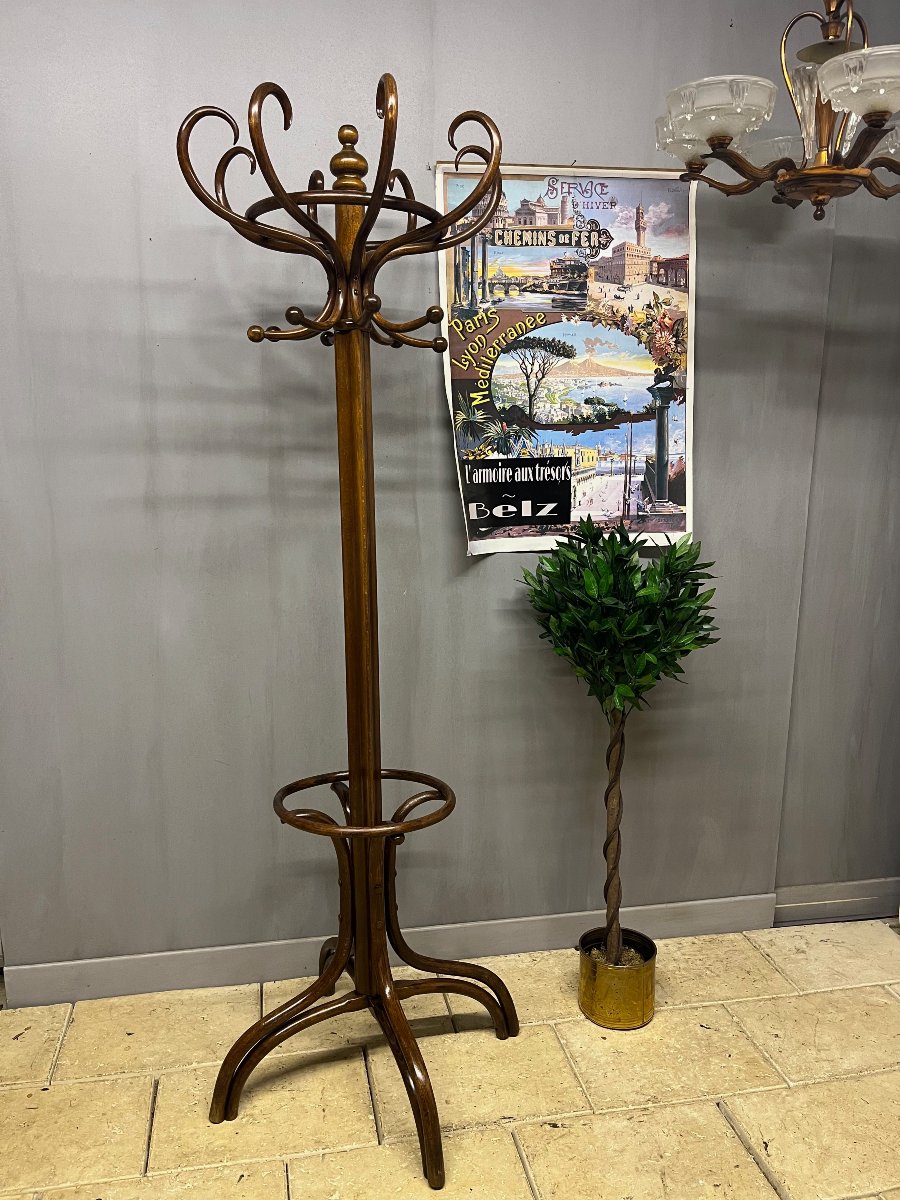 "perroquet" Fischel Coat Rack Made Of Bentwood For The Entryway