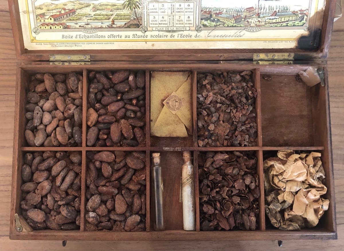Musée Scolaire Chocolats Menier Avec échantillons d'époque-photo-2