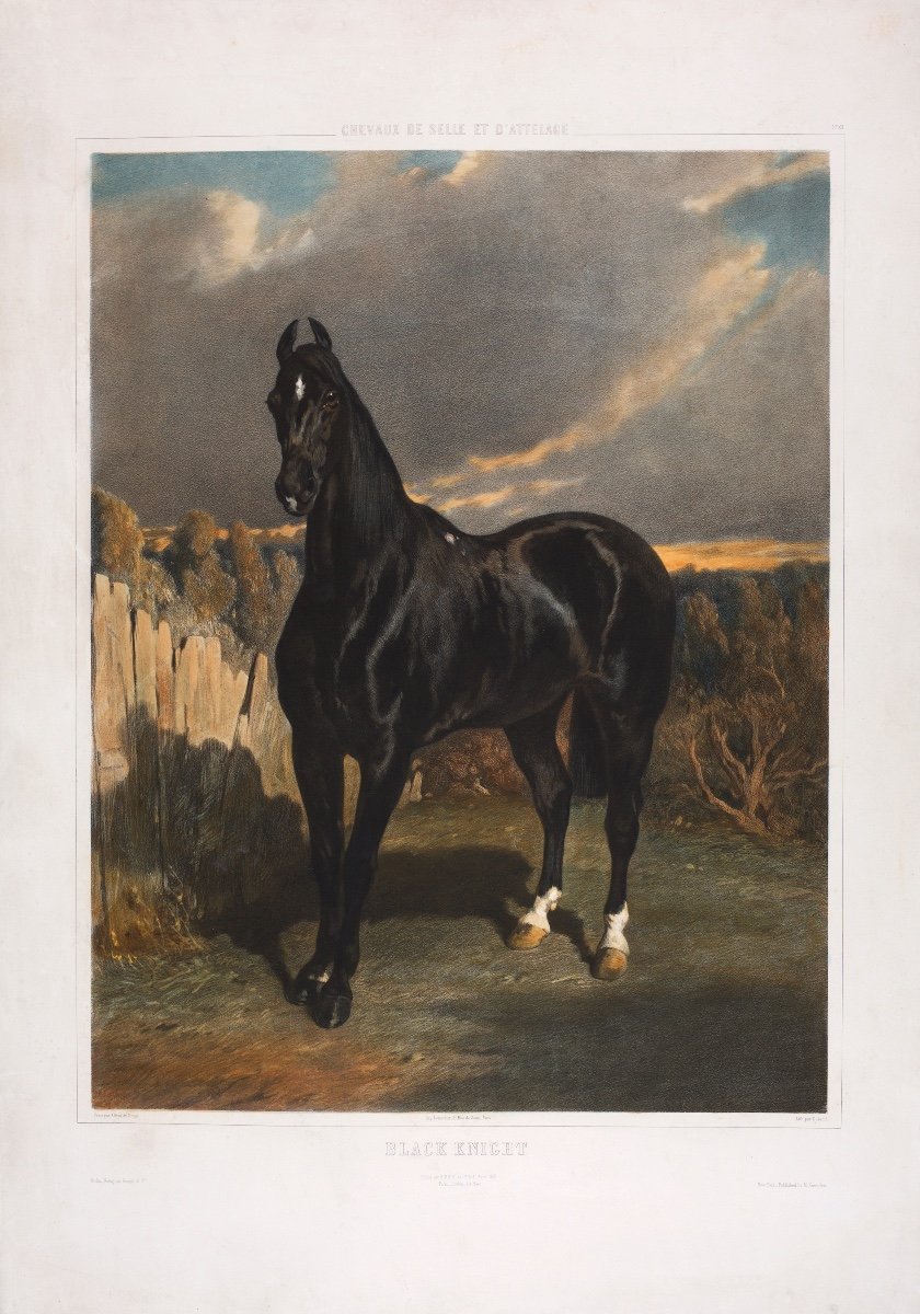 Alfred De Dreux (1810-1860), Black Knight-photo-2