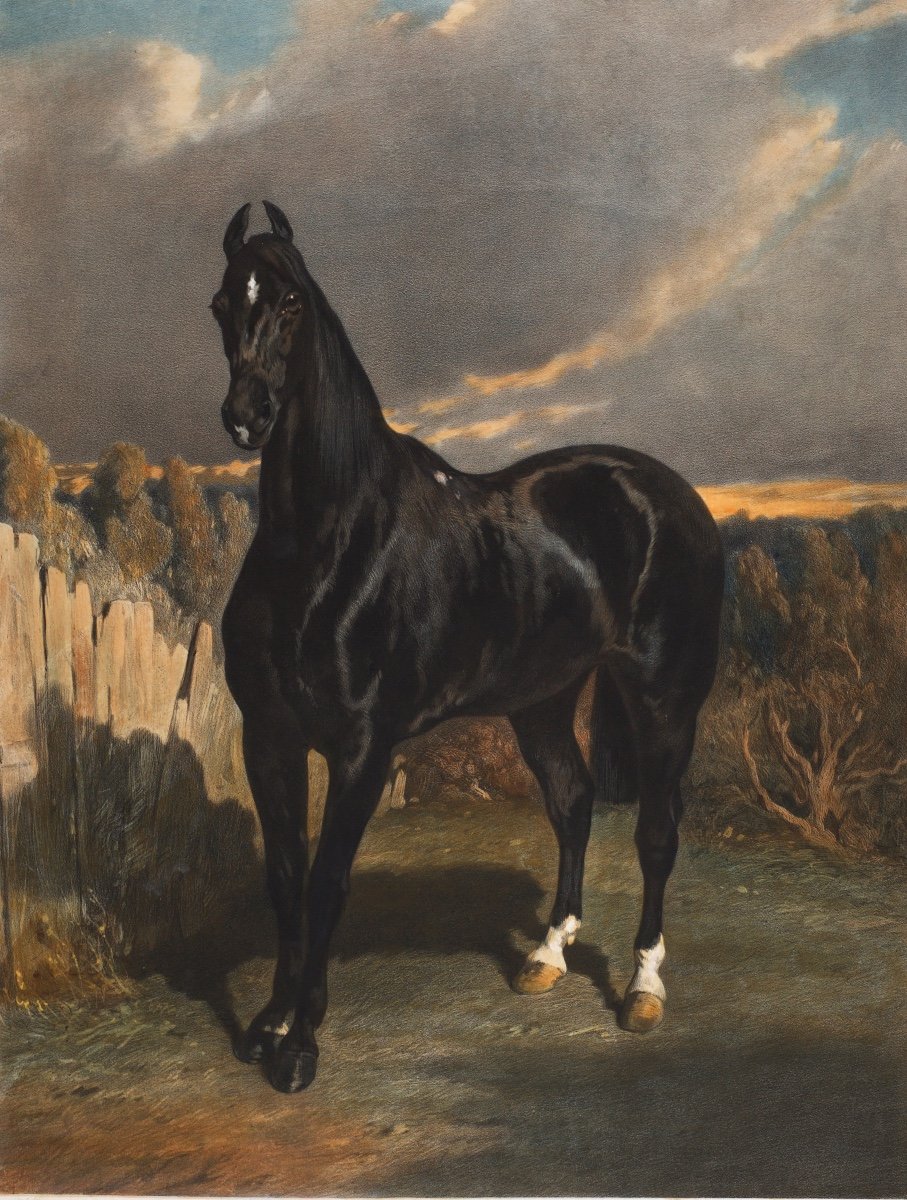 Alfred De Dreux (1810-1860), Black Knight