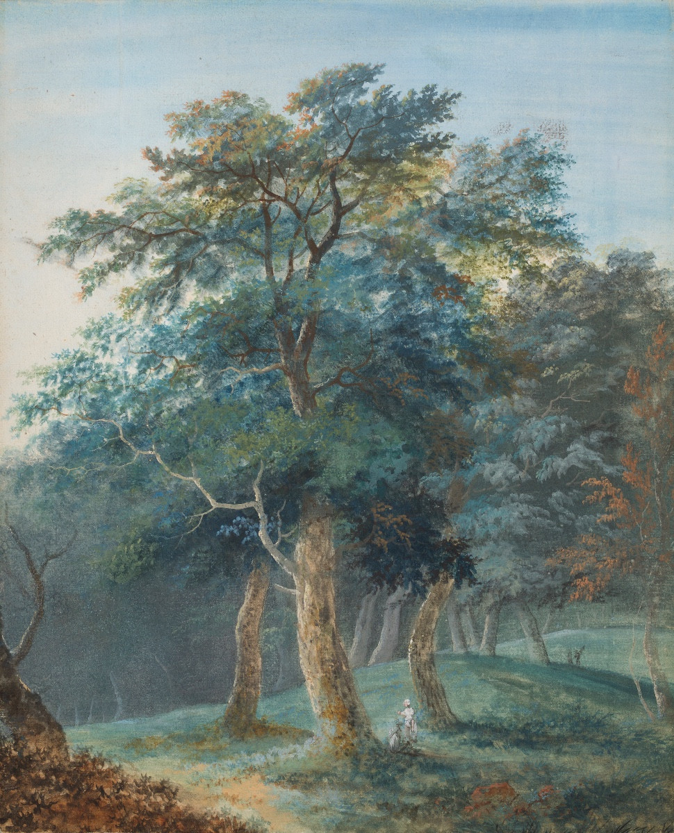 French School, Late 18th Century, In The Undergrowth