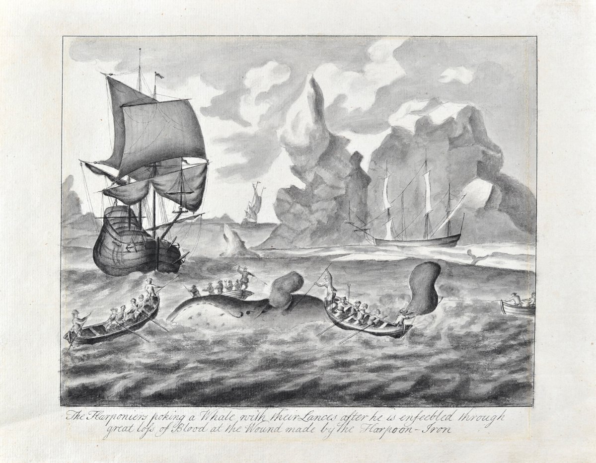 John Allen (active 18th Century), Arctic Whale Fishing, Pen And Ink Wash