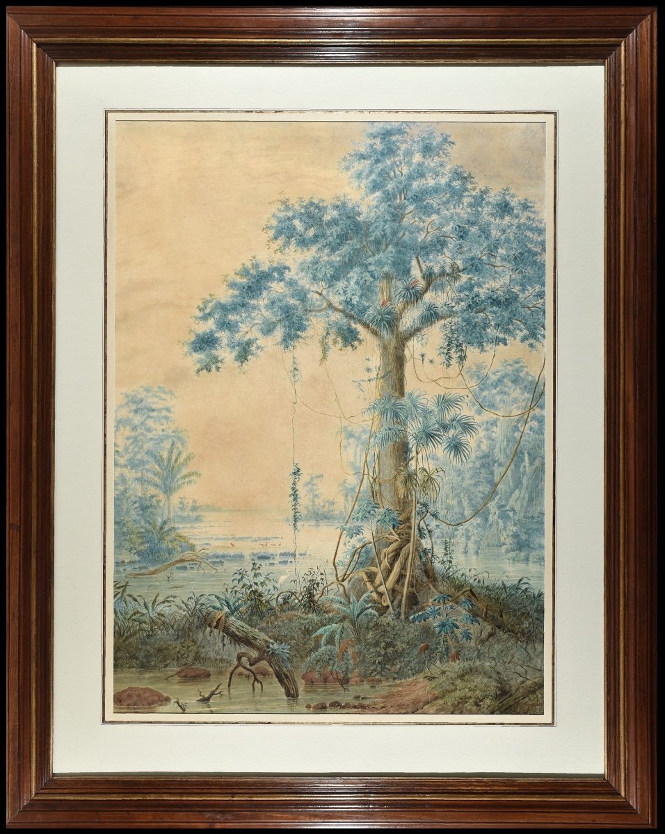 Christian Anton Goering (1836-1905), Forêt Tropicale, Delta De L’orénoque, Venezuela-photo-2