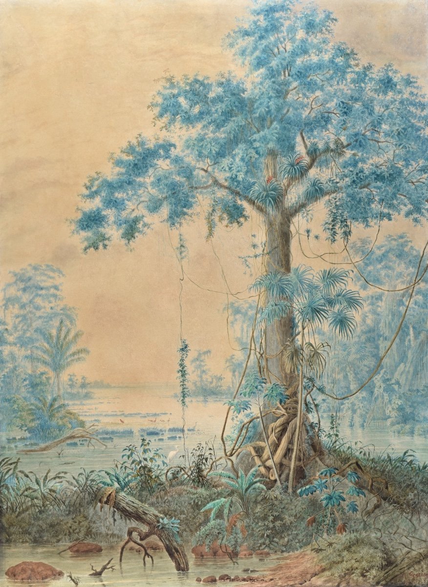 Christian Anton Goering (1836-1905), Rainforest, Orinoco Delta, Venezuela