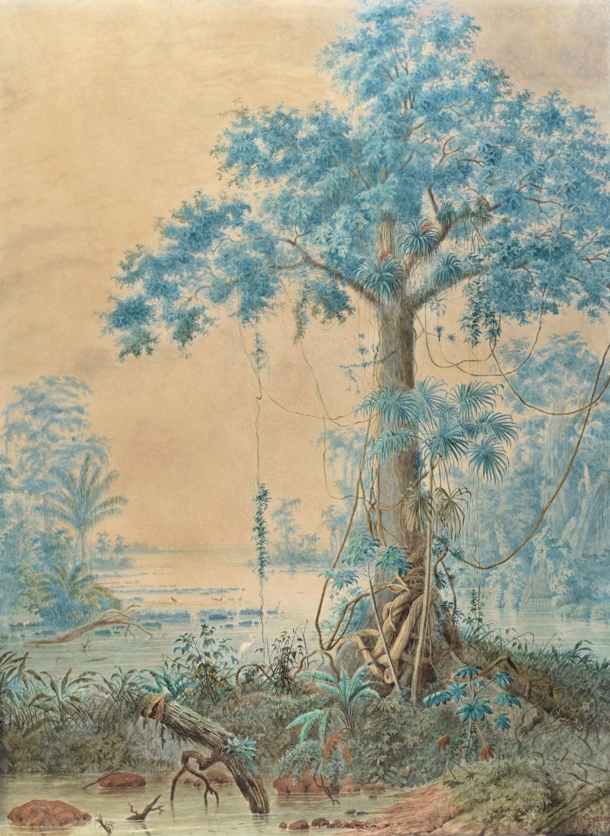 Christian Anton Goering (1836-1905), Forêt Tropicale, Delta De L’orénoque, Venezuela