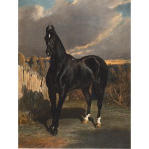 Alfred De Dreux (1810-1860), Black Knight