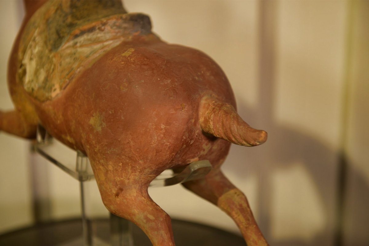 Terracotta Sculpture, Oriental Art, Flying Horse, Tang Dynasty, 1900s-photo-5