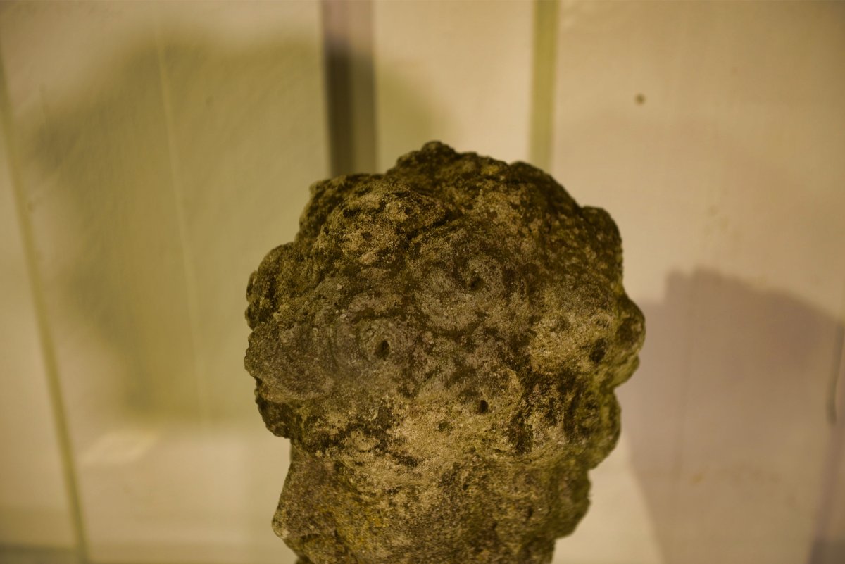 Neo-renaissance Stone Head Of A Man, Early 19th Century-photo-6