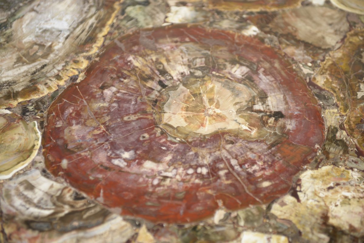 Table Made Of Rosewood And Petrified Wood, 1960s-photo-3