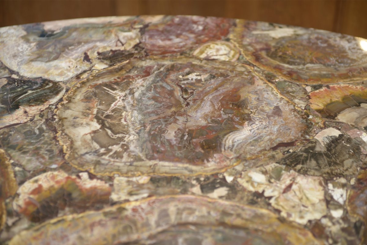 Table Made Of Rosewood And Petrified Wood, 1960s-photo-3