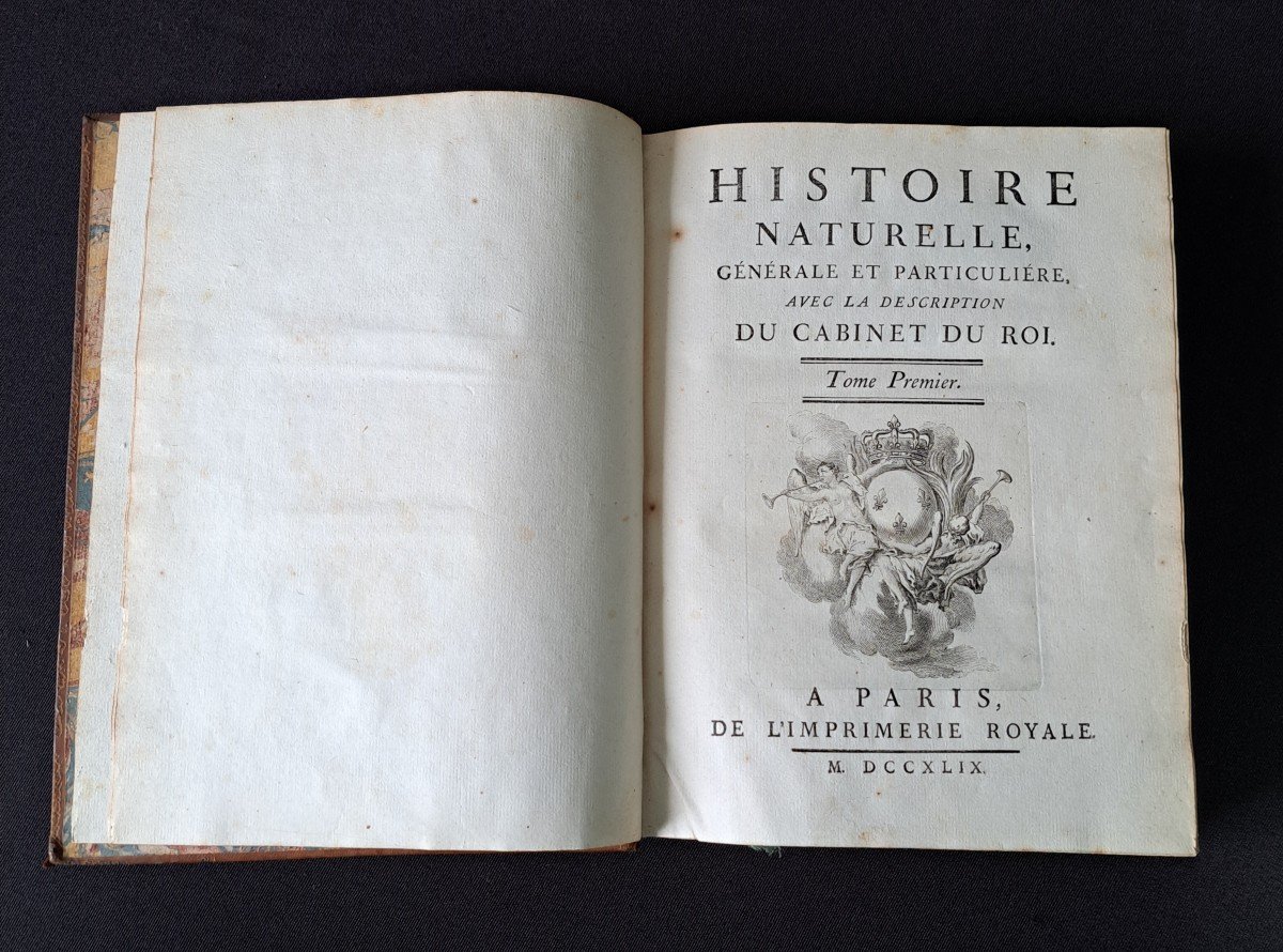 Buffon: Histoire Naturelle. 15 premiers volumes.  Edition originale 1749.-photo-2