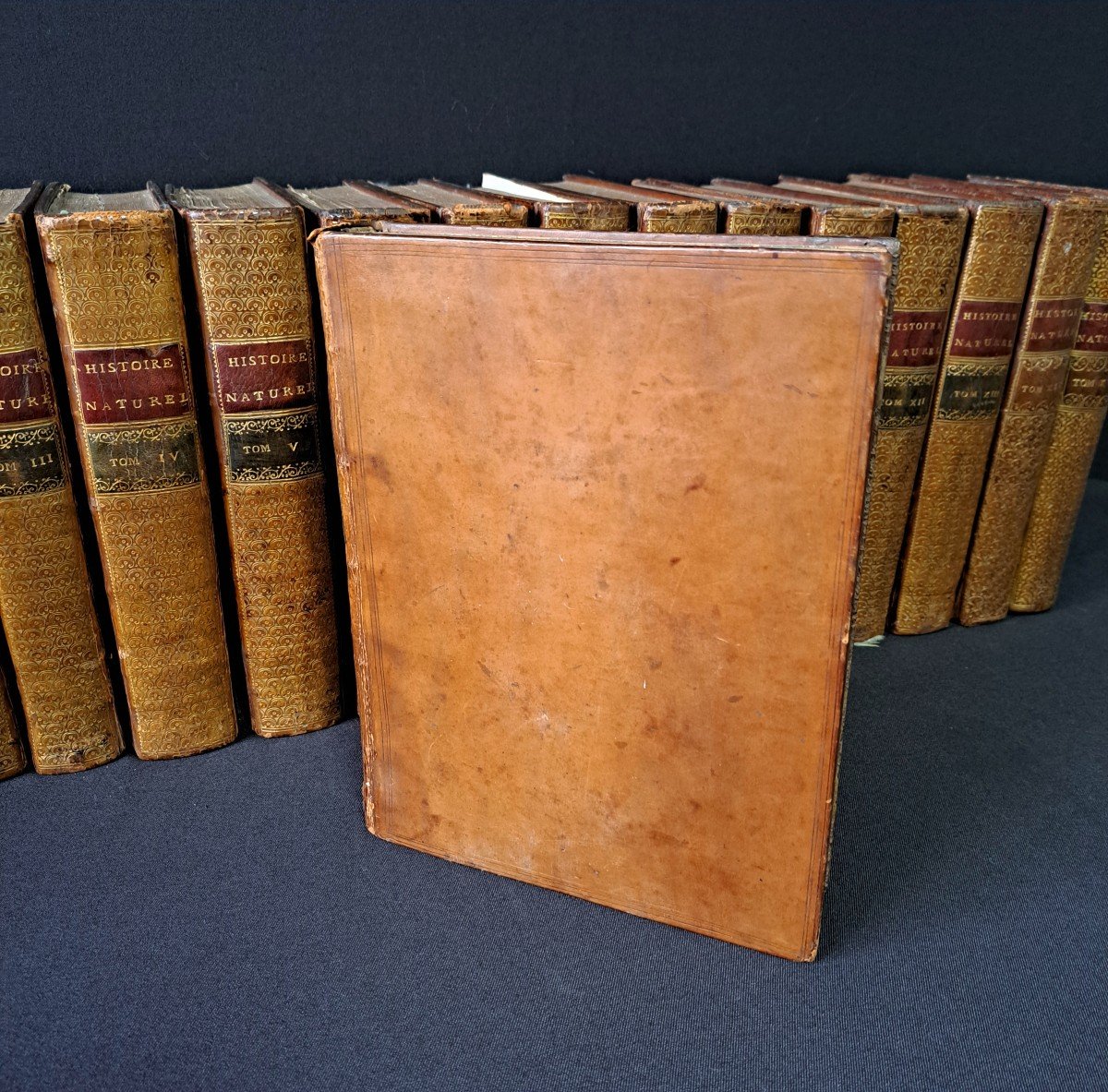 Buffon: Histoire Naturelle. 15 premiers volumes.  Edition originale 1749.-photo-2