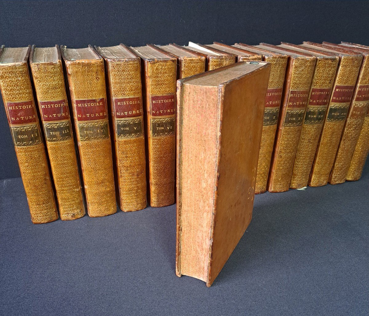 Buffon: Histoire Naturelle. 15 premiers volumes.  Edition originale 1749.-photo-3