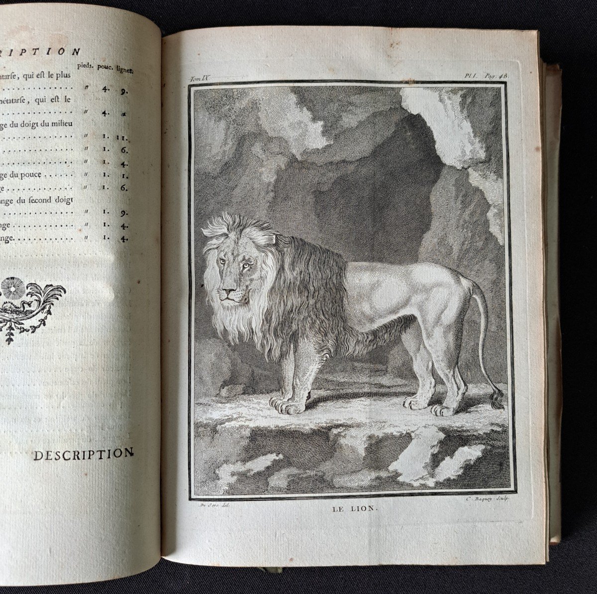 Buffon: Histoire Naturelle. 15 premiers volumes.  Edition originale 1749.-photo-6