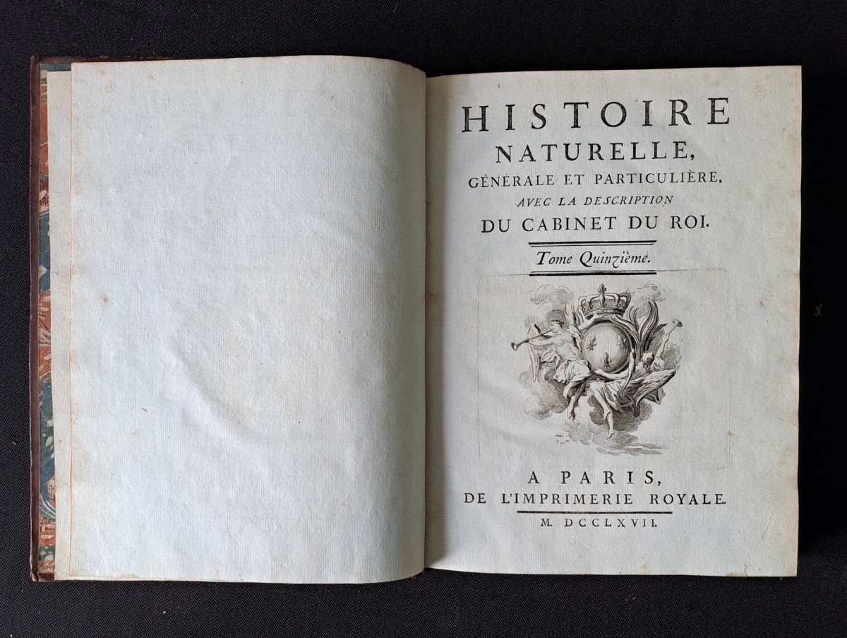 Buffon: Histoire Naturelle. 15 premiers volumes.  Edition originale 1749.-photo-8