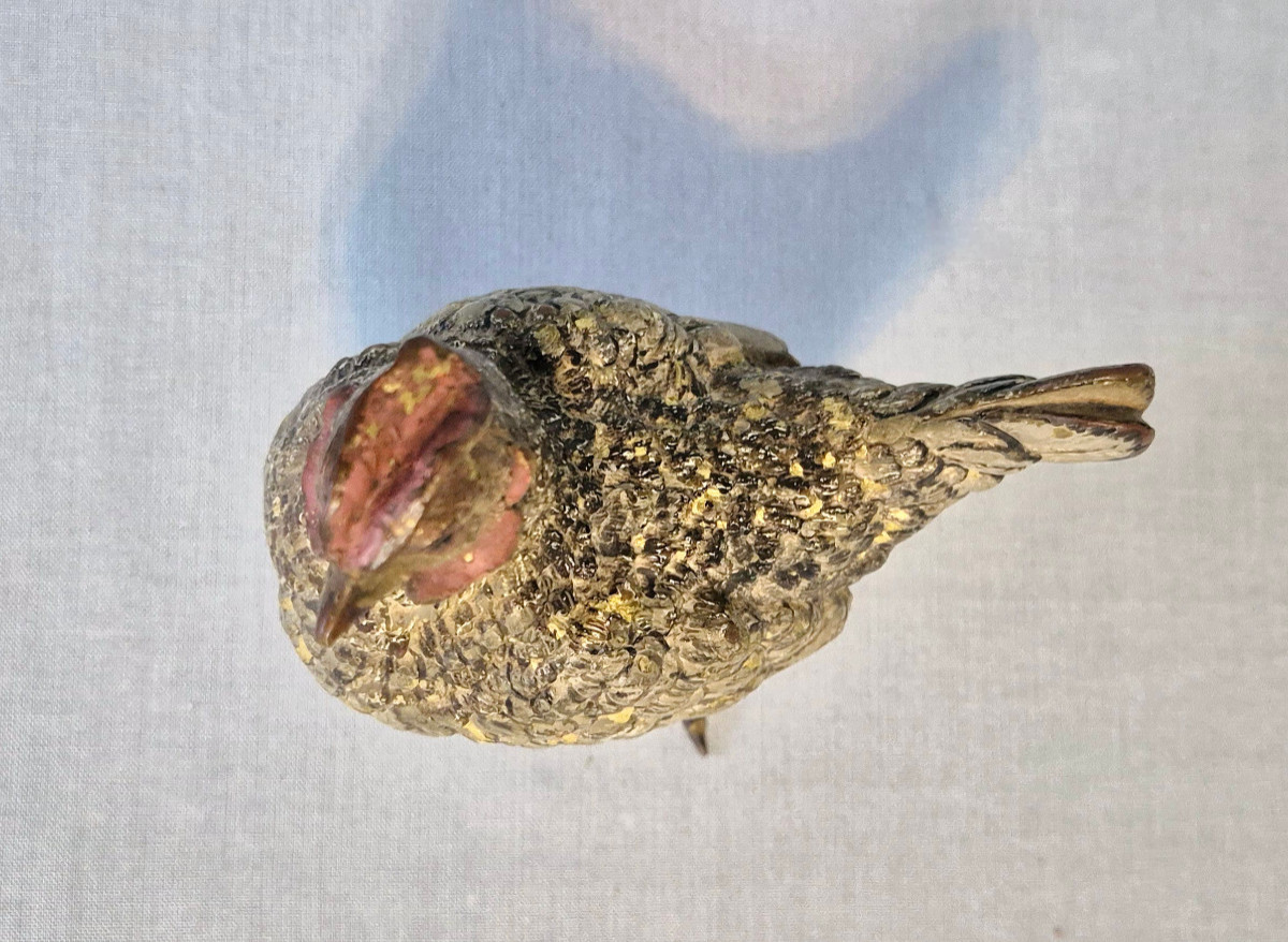 White Hen: Vienna Bronze Signed Bergmann.-photo-3