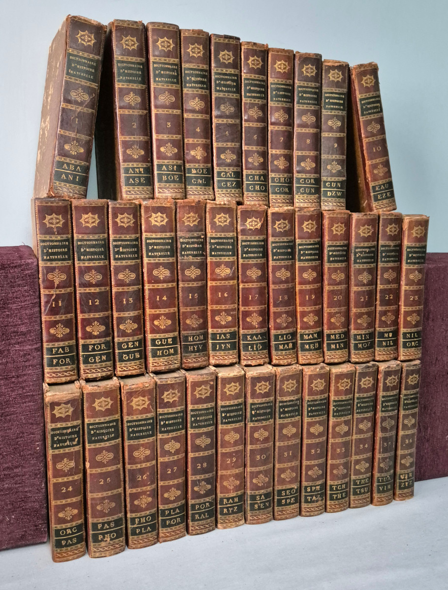 Dictionary Of Natural History: 36 Volumes: 1816.-photo-3