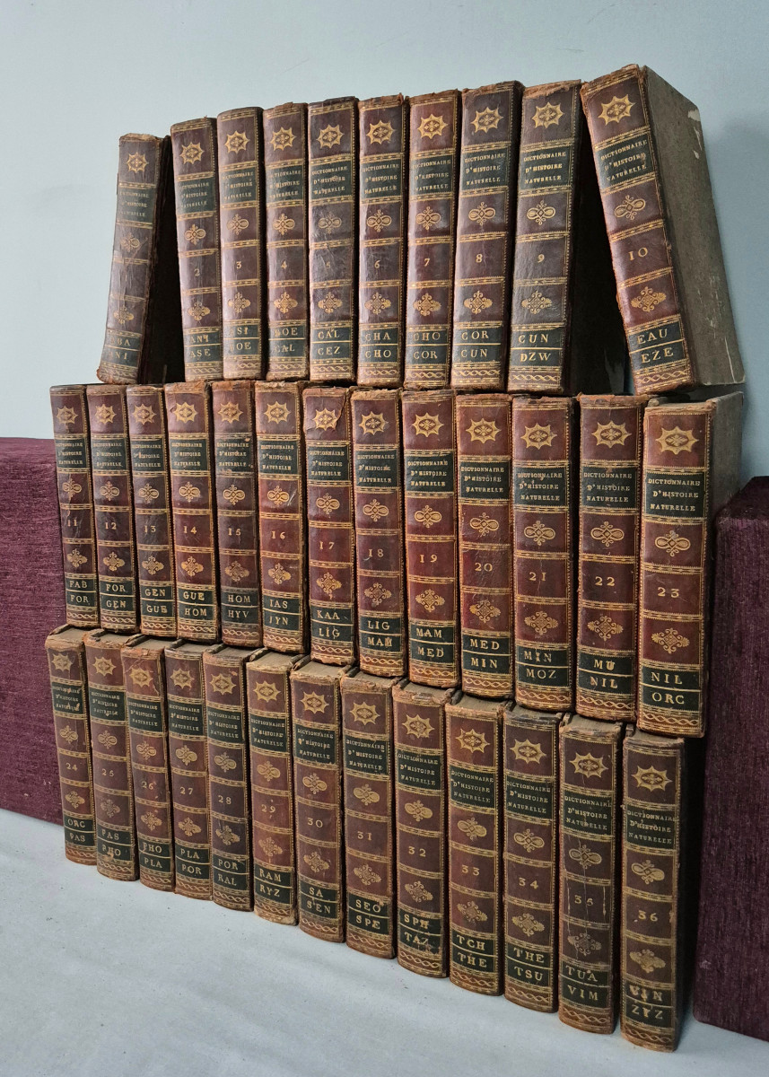 Dictionary Of Natural History: 36 Volumes: 1816.-photo-4