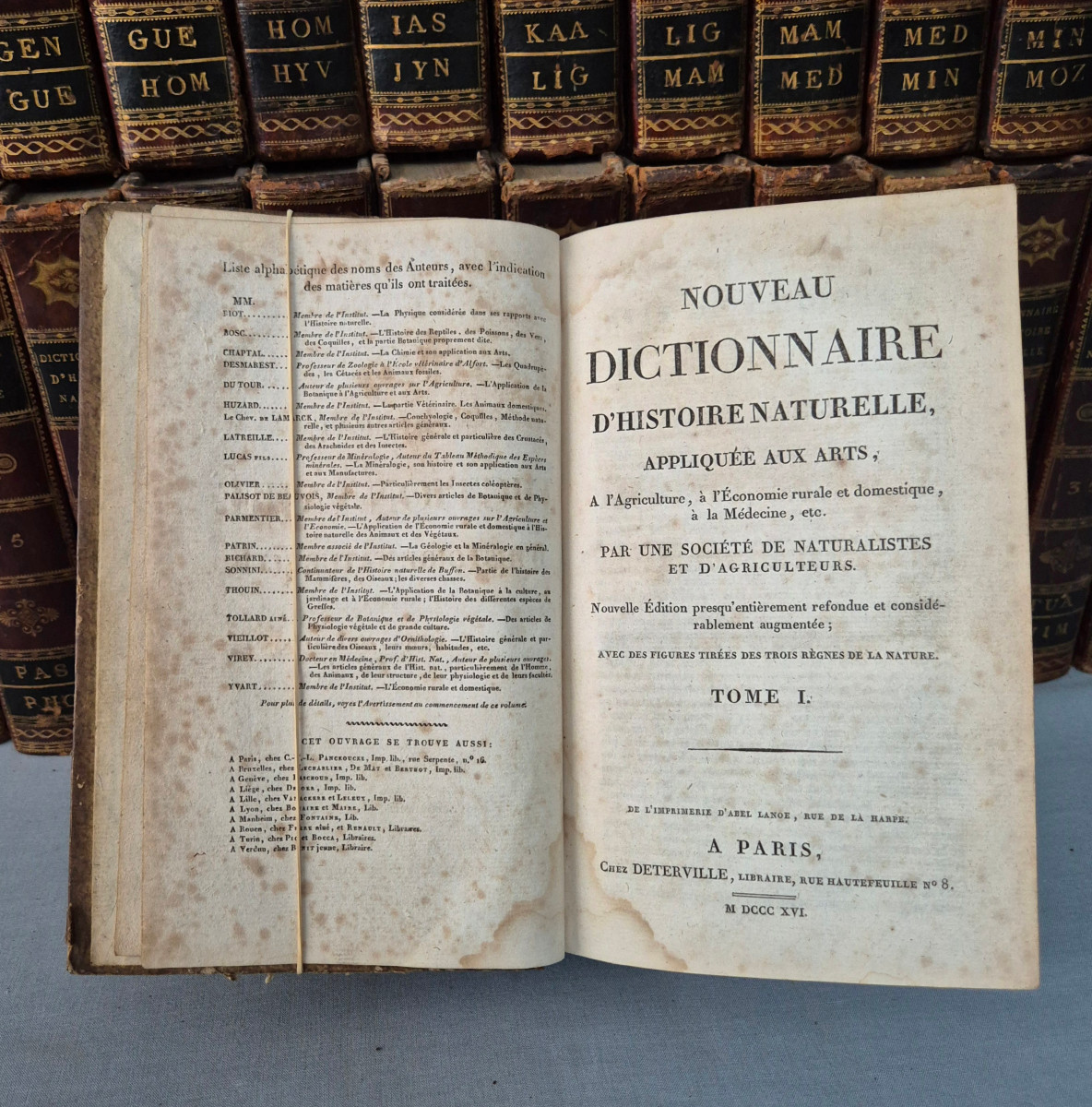 Dictionary Of Natural History: 36 Volumes: 1816.-photo-2