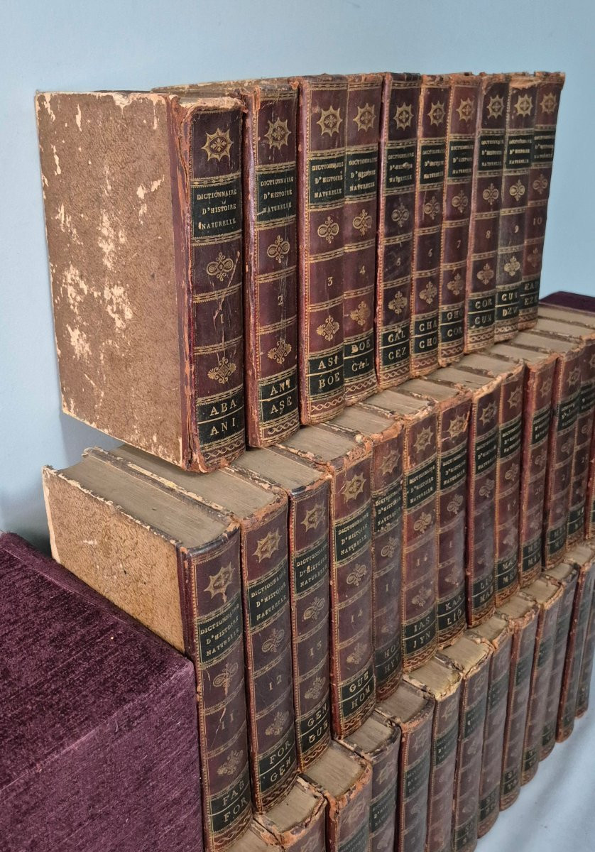 Dictionary Of Natural History: 36 Volumes: 1816.-photo-1