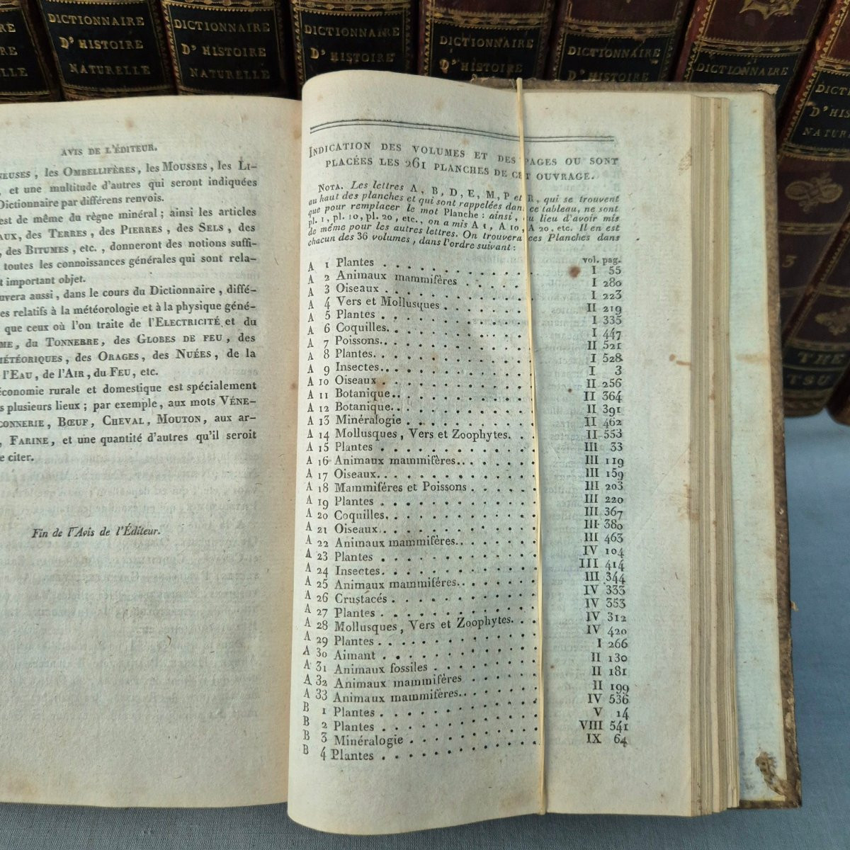 Dictionary Of Natural History: 36 Volumes: 1816.-photo-2