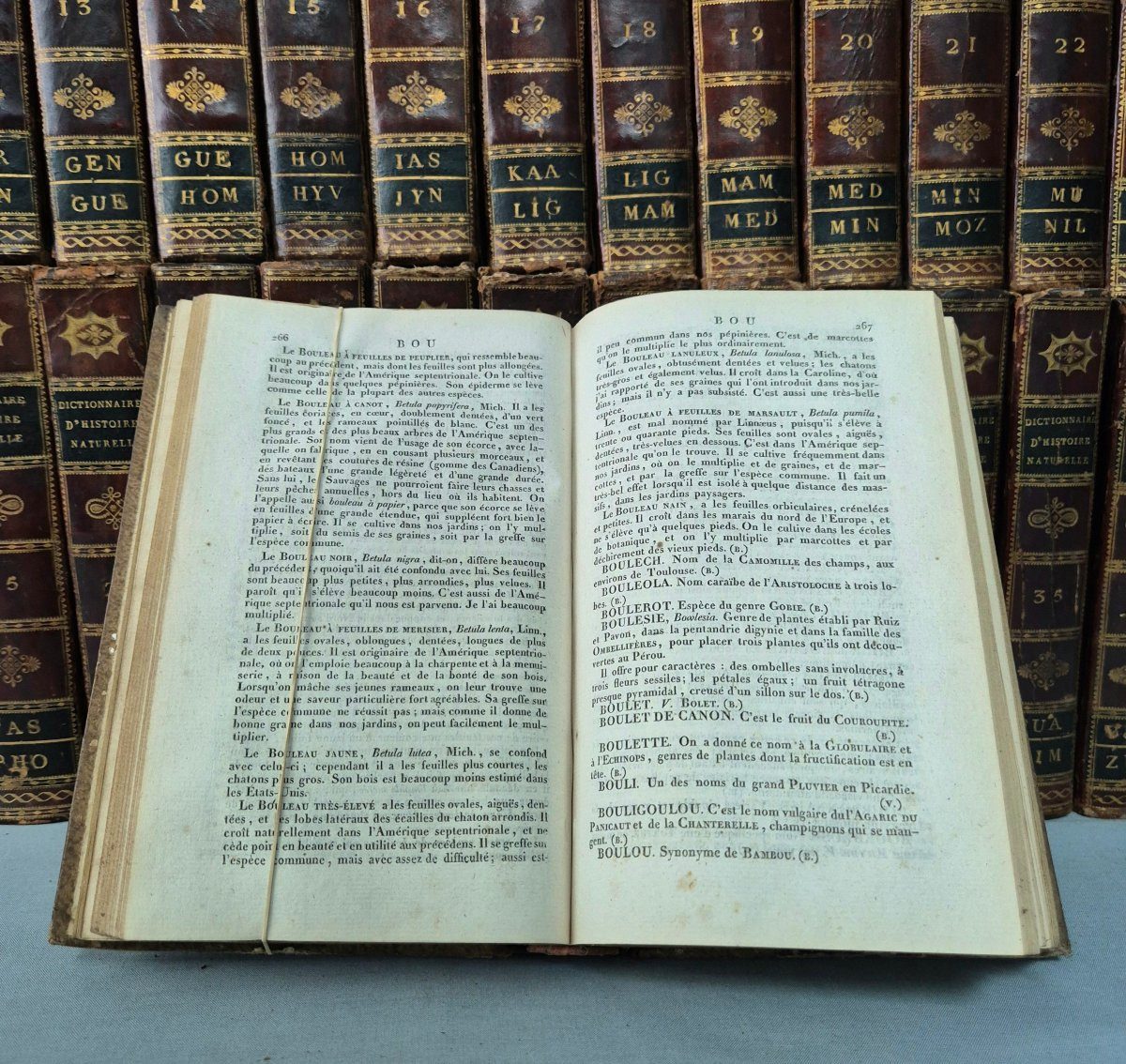 Dictionary Of Natural History: 36 Volumes: 1816.-photo-3