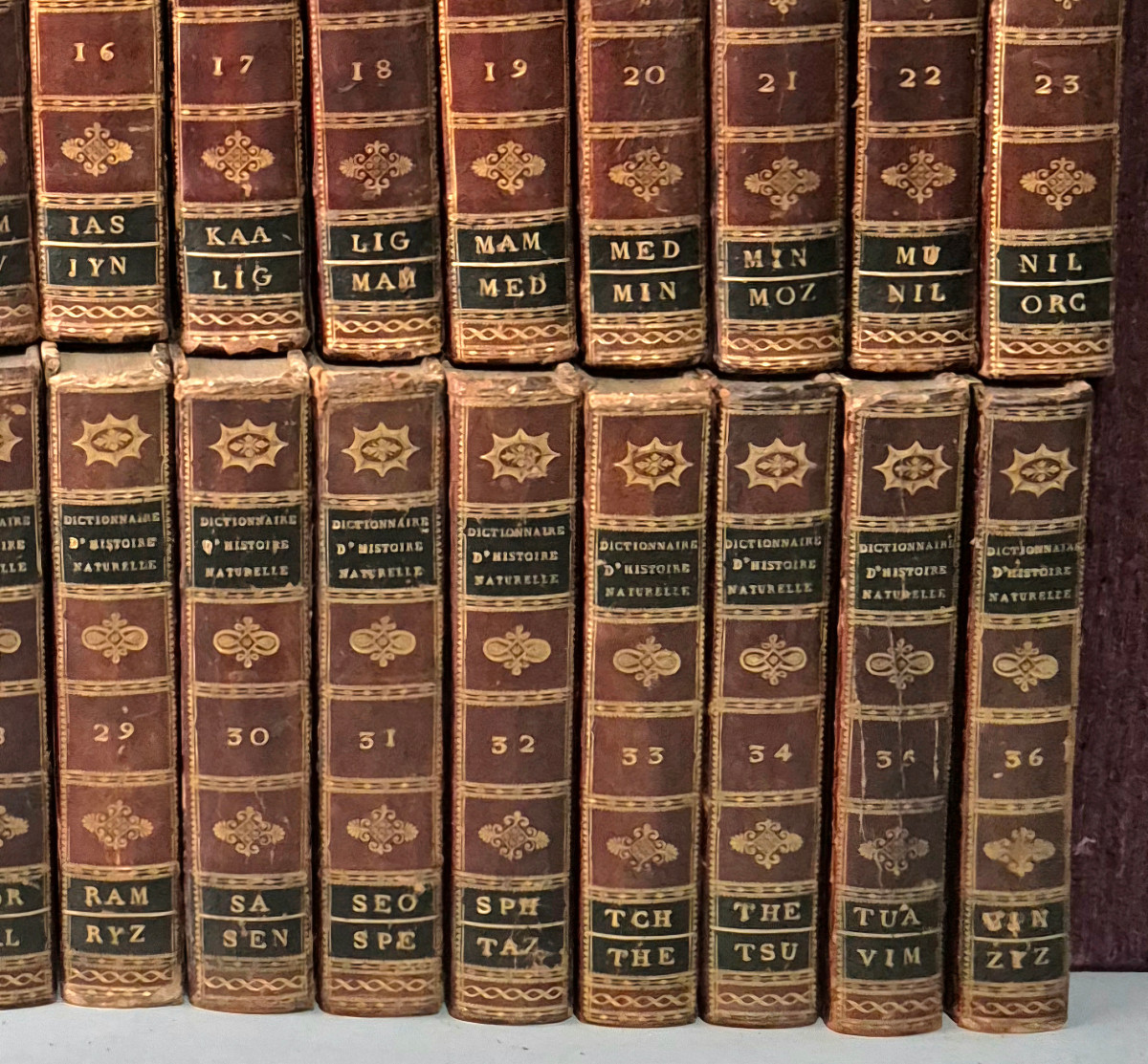 Dictionary Of Natural History: 36 Volumes: 1816.-photo-5