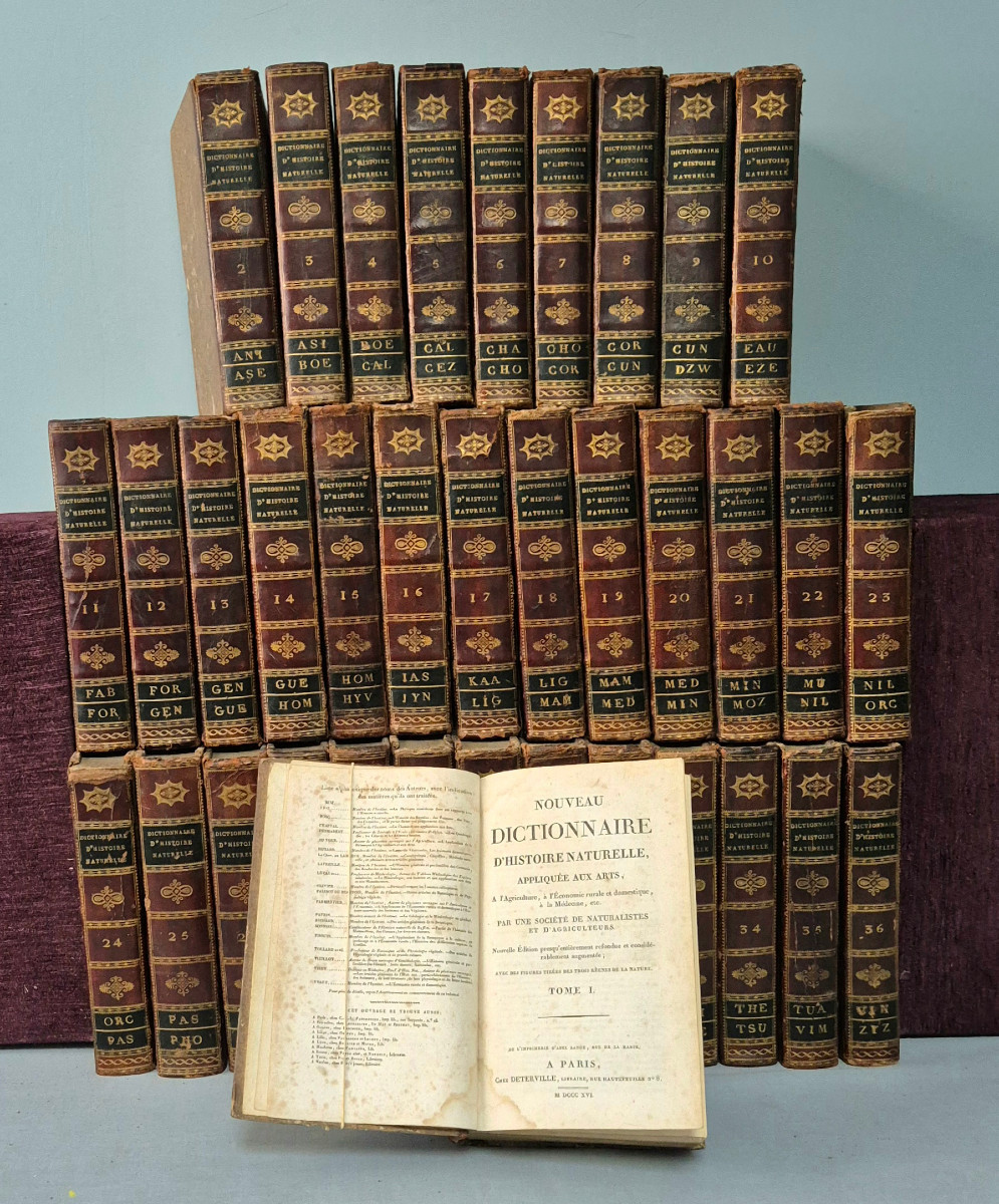 Dictionary Of Natural History: 36 Volumes: 1816.-photo-6