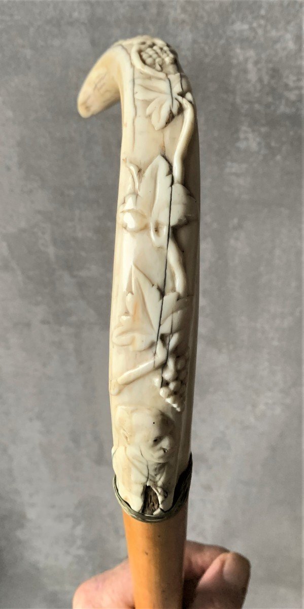 Cane In Malacca Wood And Carved Warthog Tusk 19th-photo-2