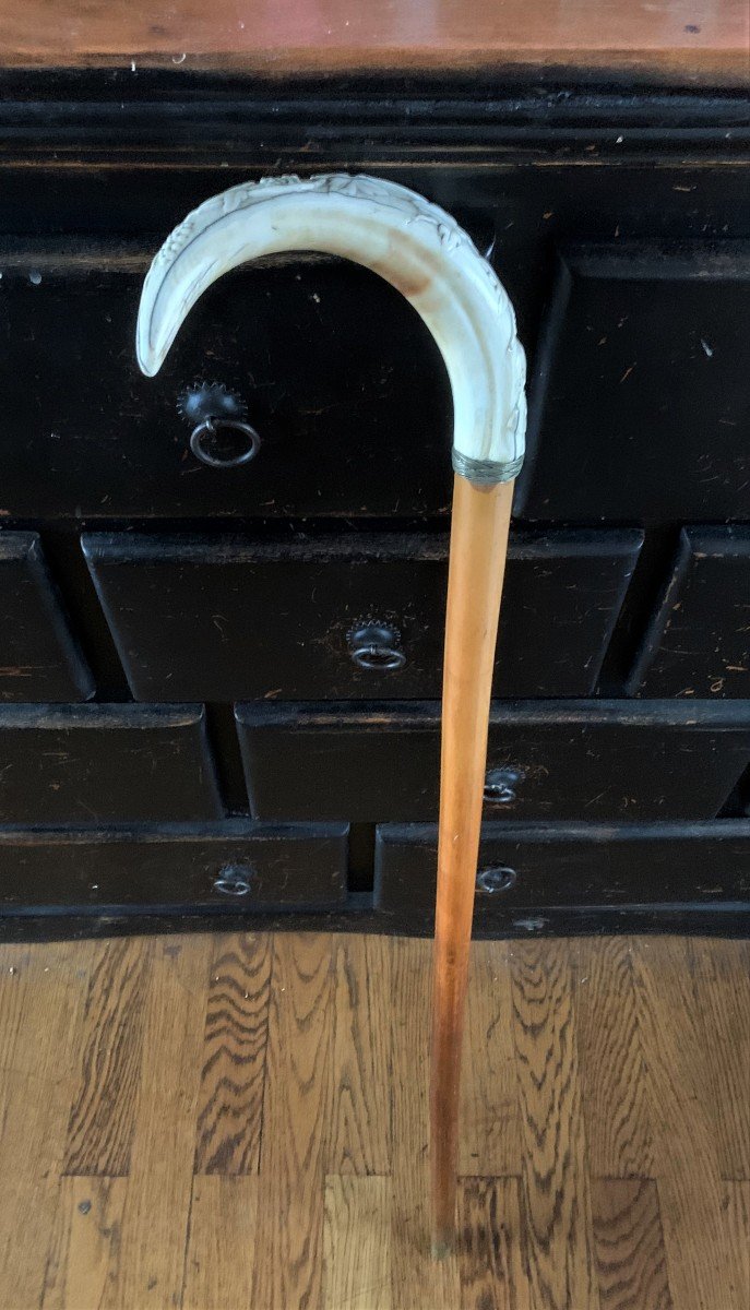 Cane In Malacca Wood And Carved Warthog Tusk 19th-photo-3