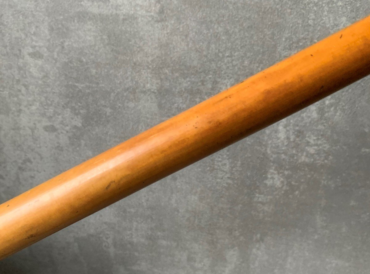 Cane In Malacca Wood And Carved Warthog Tusk 19th-photo-4