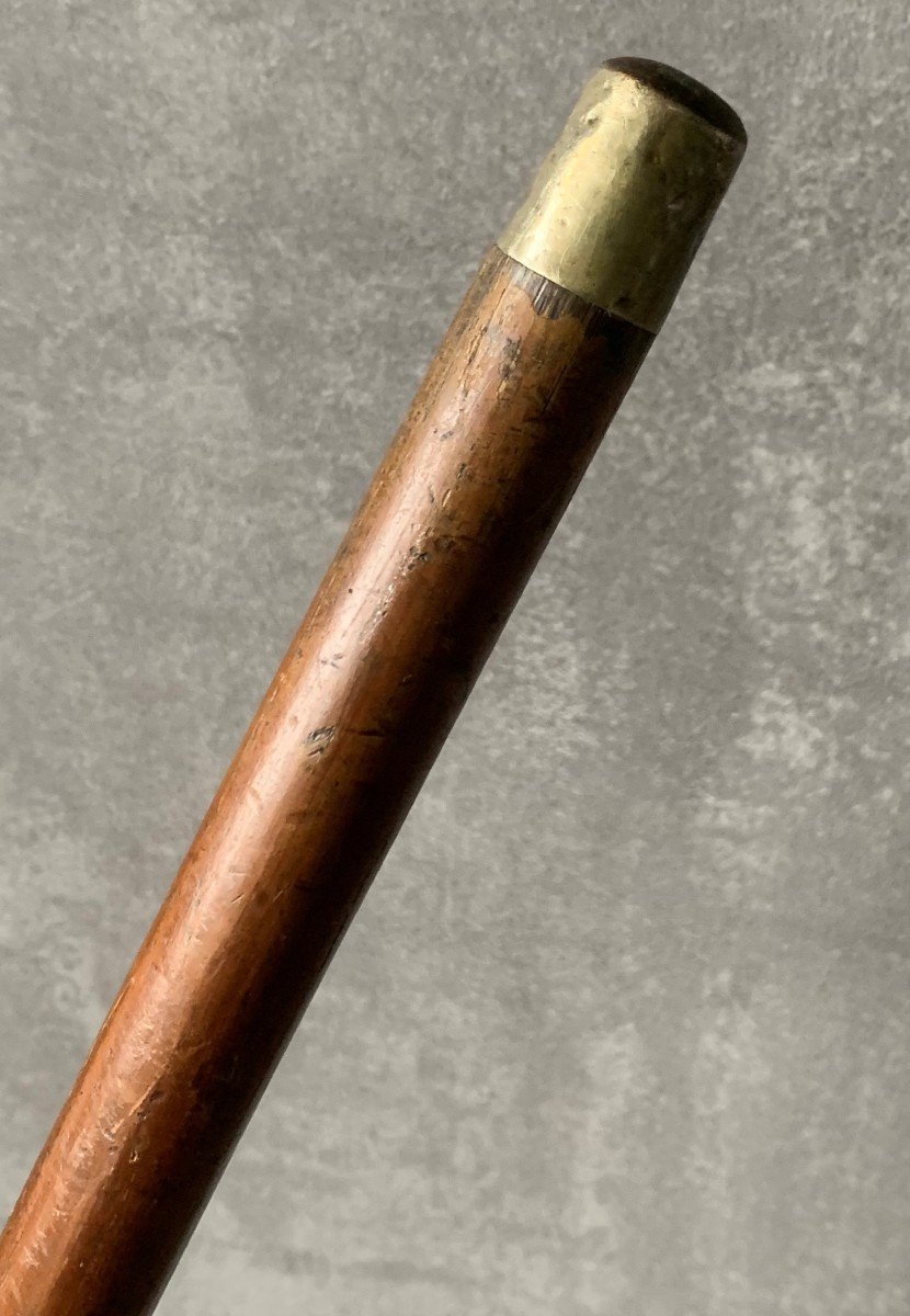 Cane In Malacca Wood And Carved Warthog Tusk 19th-photo-5