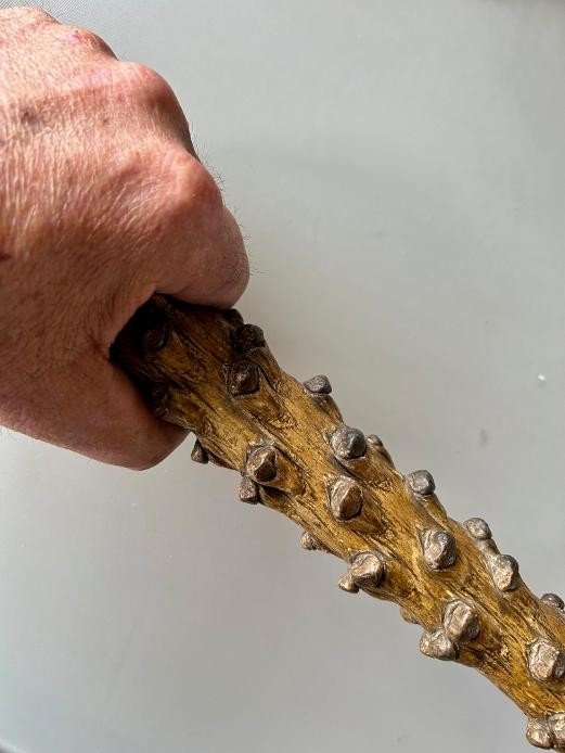Cabbage Stalk Cane Dated 1896-photo-2