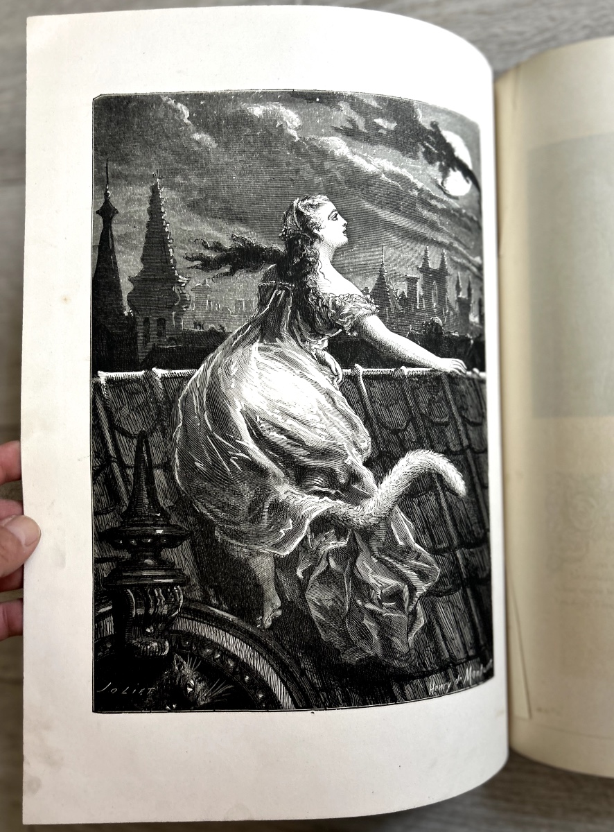 Trimm - Timothée - The Tales Of Perrault Continued By Timothée Trimm - Léo Lespès - 1865-photo-5