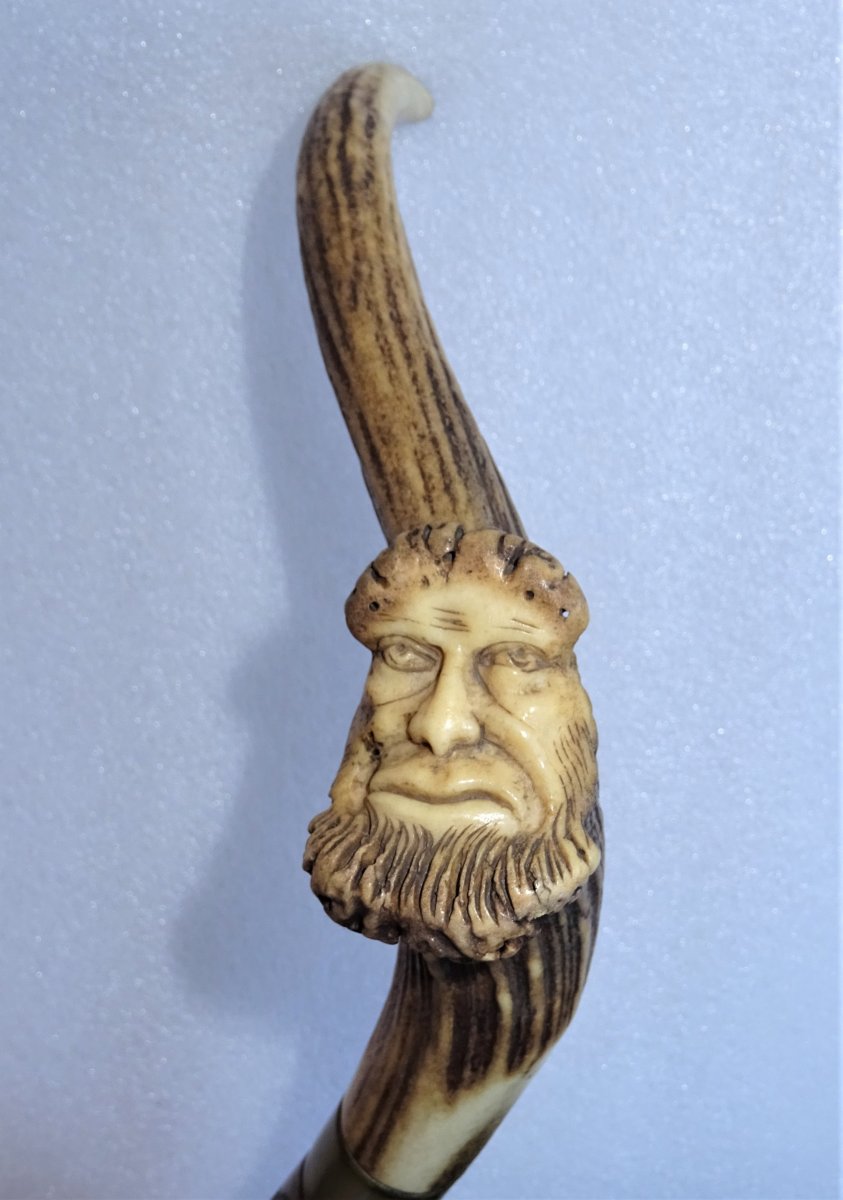 Carved Cane In Deer Wood-photo-2