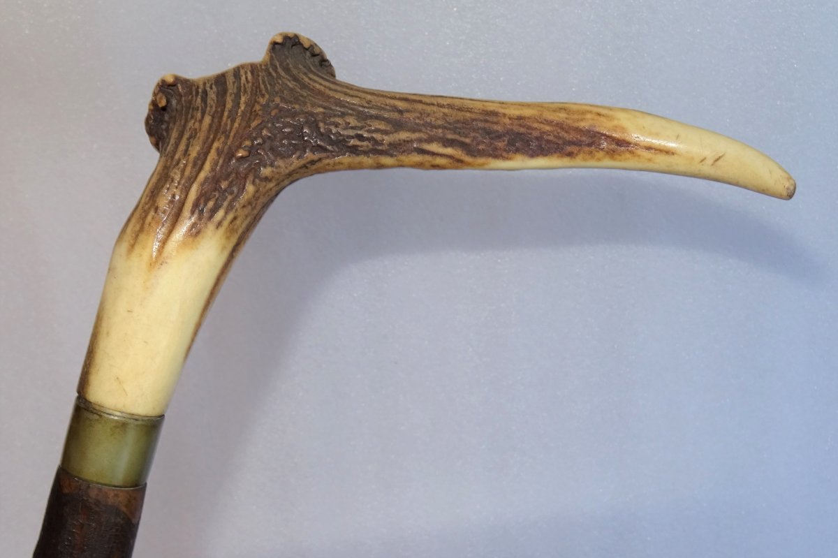 Carved Cane In Deer Wood-photo-4