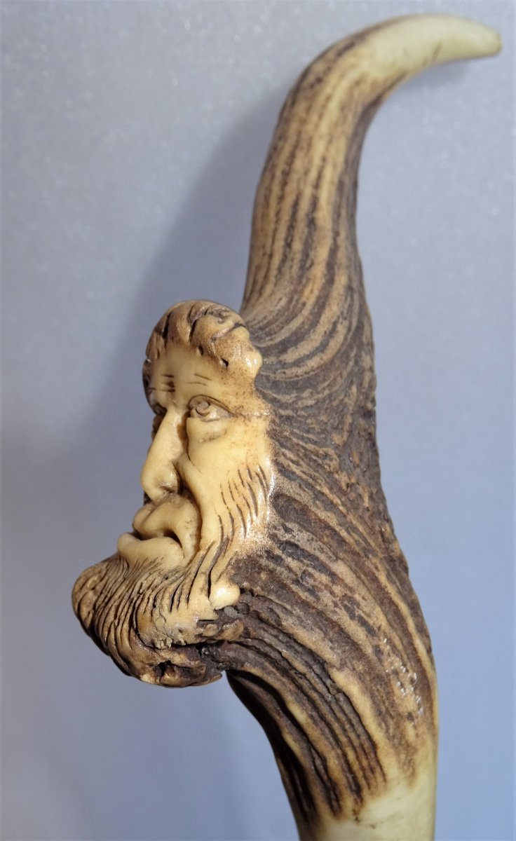 Carved Cane In Deer Wood-photo-1