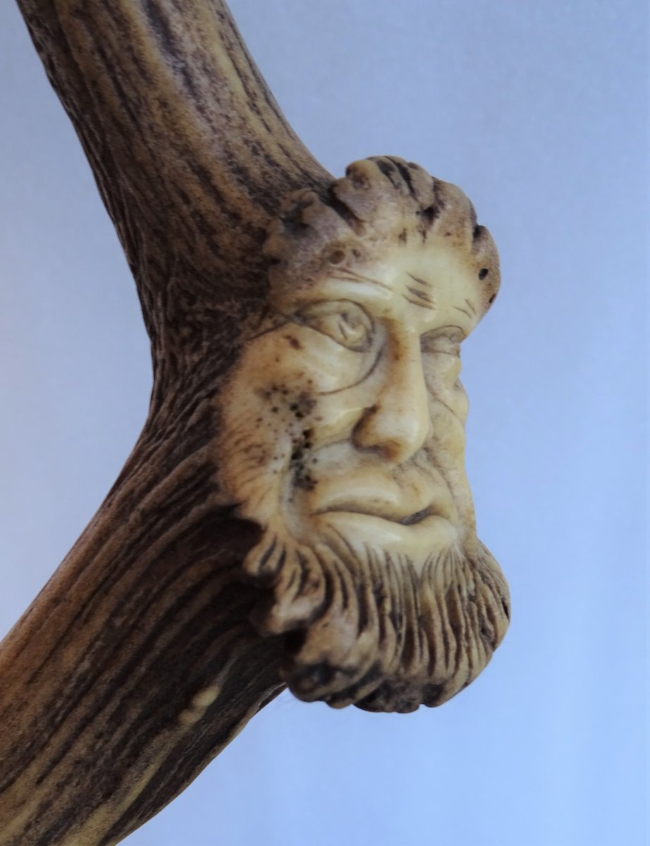 Carved Cane In Deer Wood-photo-2