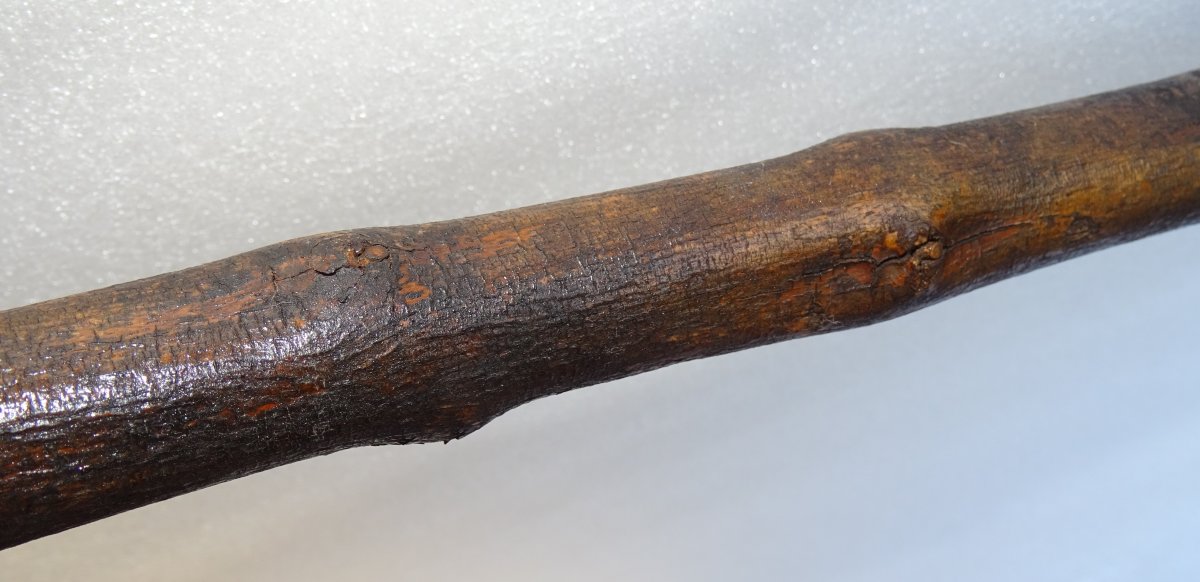 Carved Cane In Deer Wood-photo-3