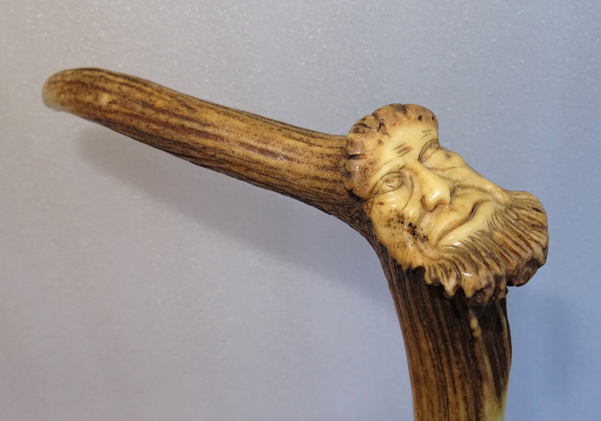 Carved Cane In Deer Wood-photo-4