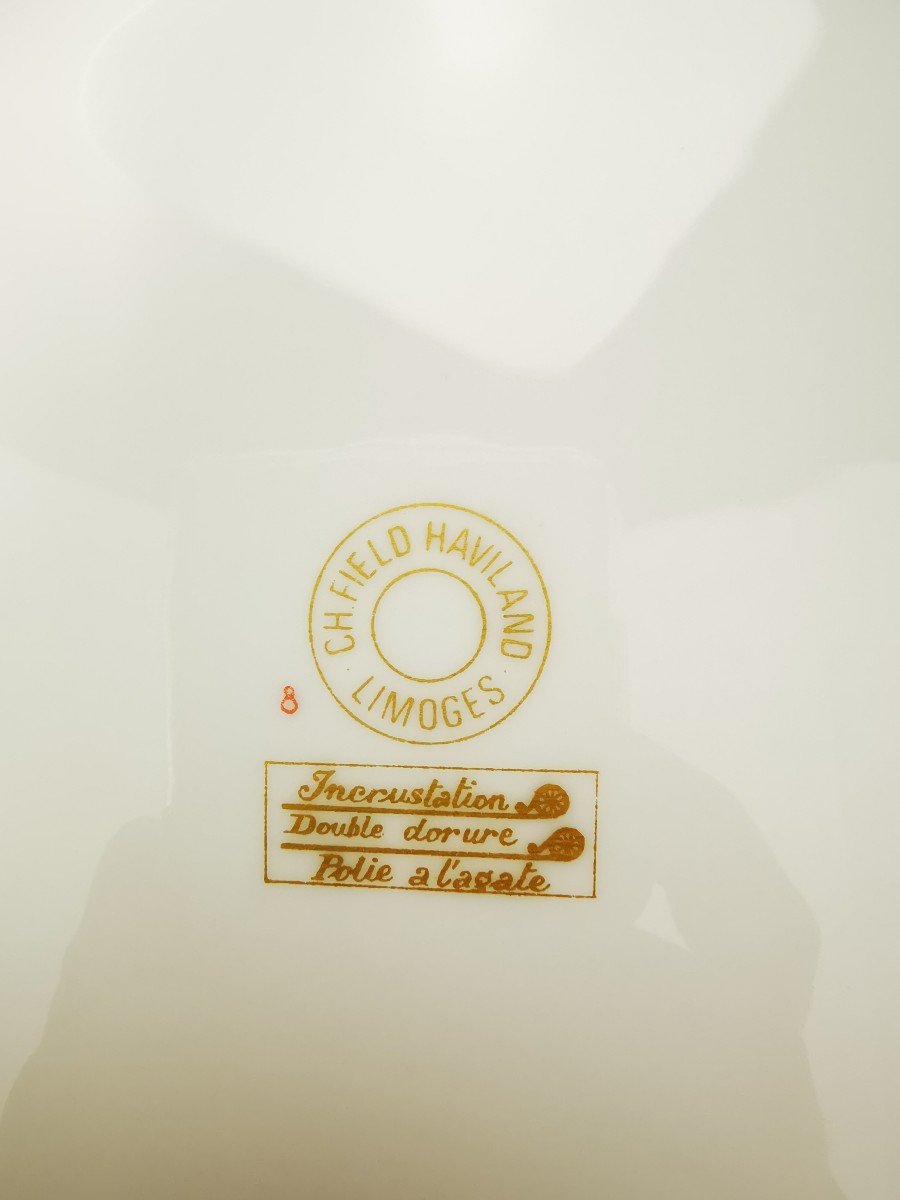 Ch.field Haviland & C. Parlon - "golden Roses" - 10 Dinner Plates-photo-2
