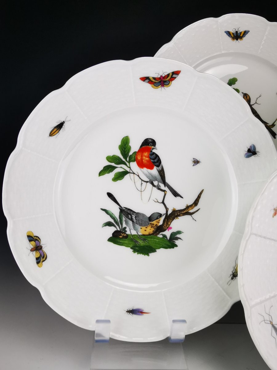Limoges (raynaud) Céralene "birds" - 5 Meissen Decorated Plates - ø 24 Cm -photo-2