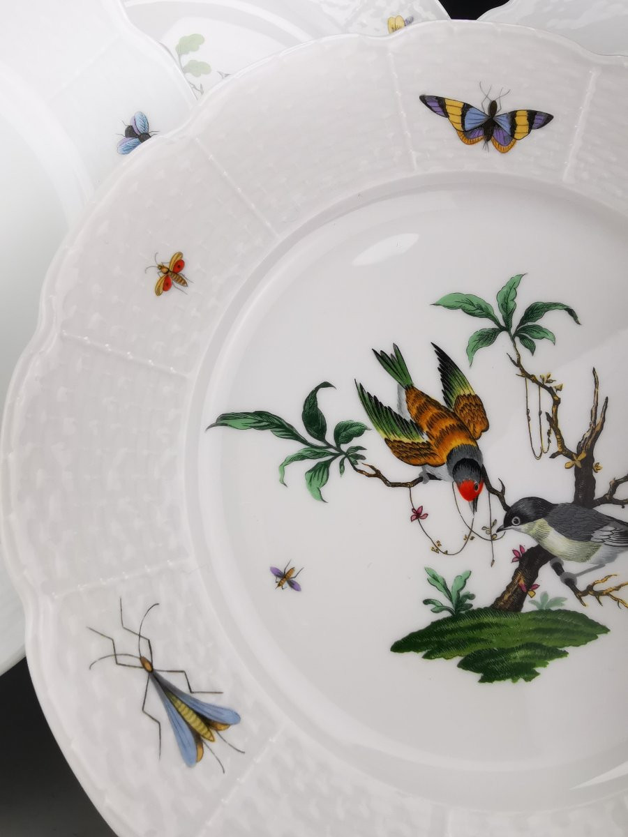 Limoges (raynaud) Céralene "birds" - 5 Meissen Decorated Plates - ø 24 Cm -photo-3