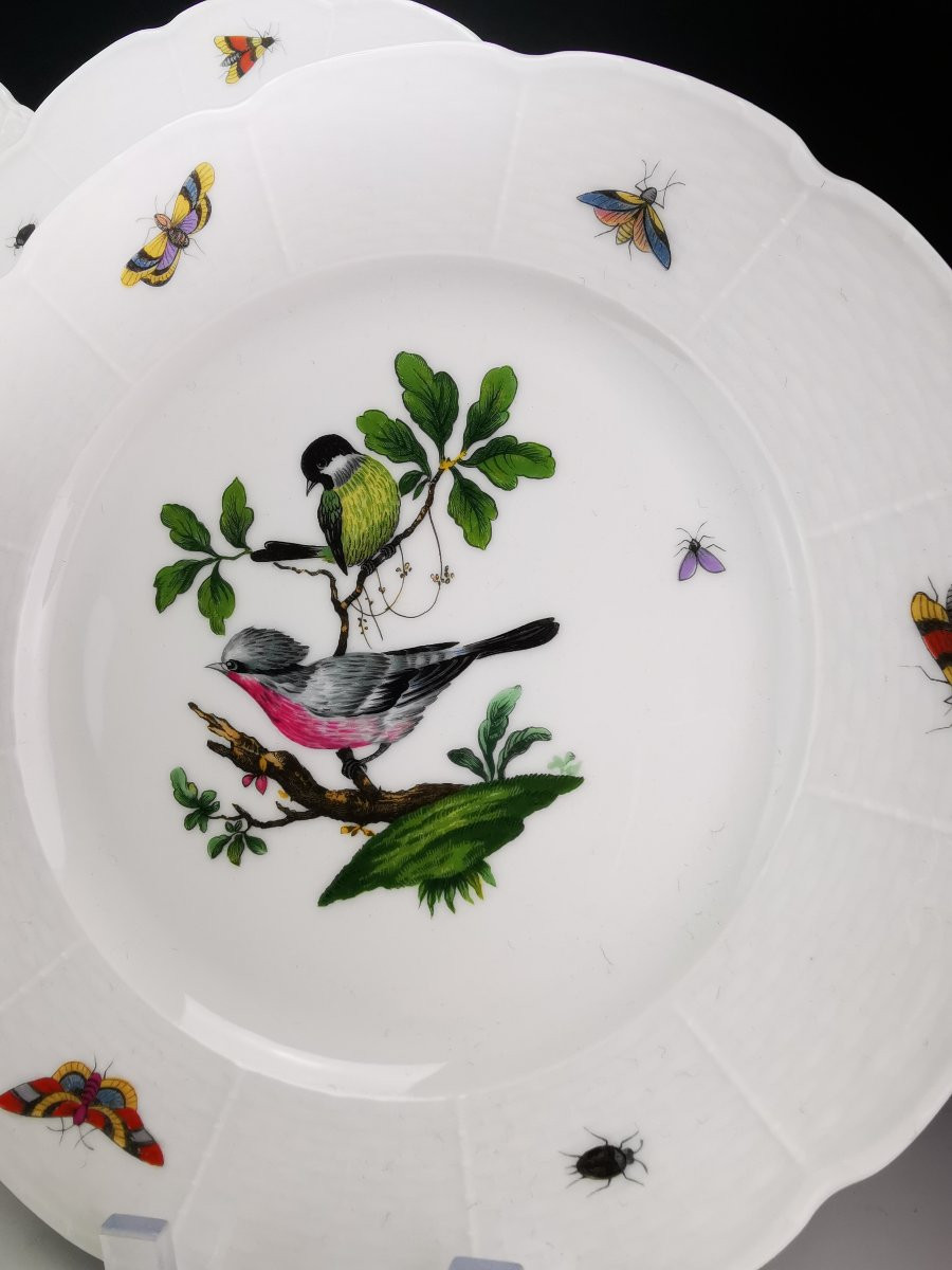 Limoges (raynaud) Céralene "birds" - 5 Meissen Decorated Plates - ø 24 Cm -photo-4