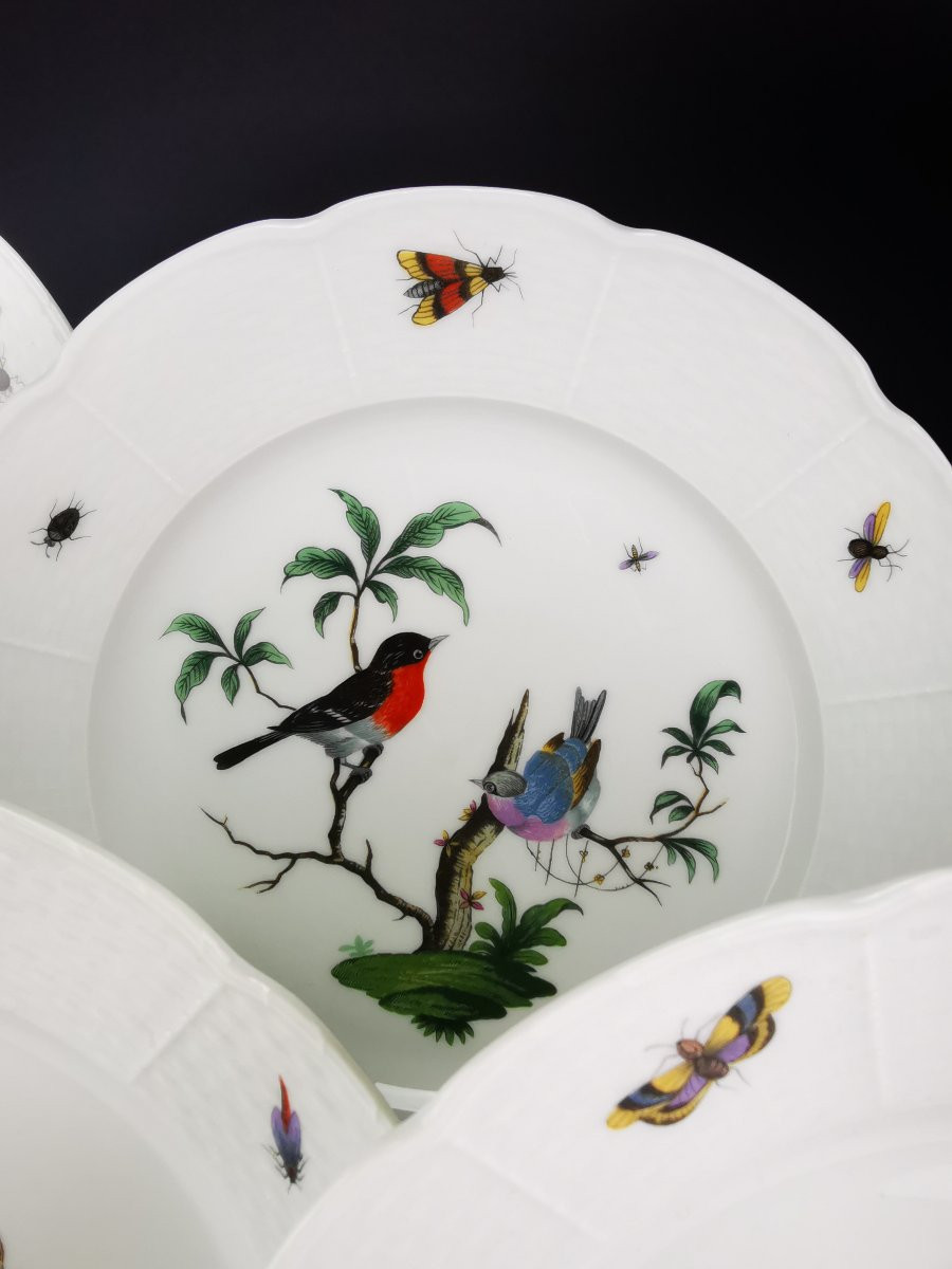 Limoges (raynaud) Céralene "birds" - 5 Meissen Decorated Plates - ø 24 Cm -photo-1