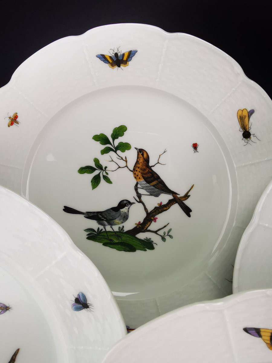 Limoges (raynaud) Céralene "birds" - 5 Meissen Decorated Plates - ø 24 Cm -photo-2