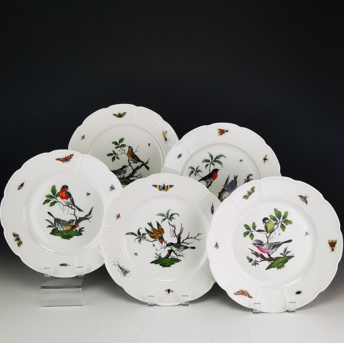 Limoges (raynaud) Céralene "birds" - 5 Meissen Decorated Plates - ø 24 Cm 