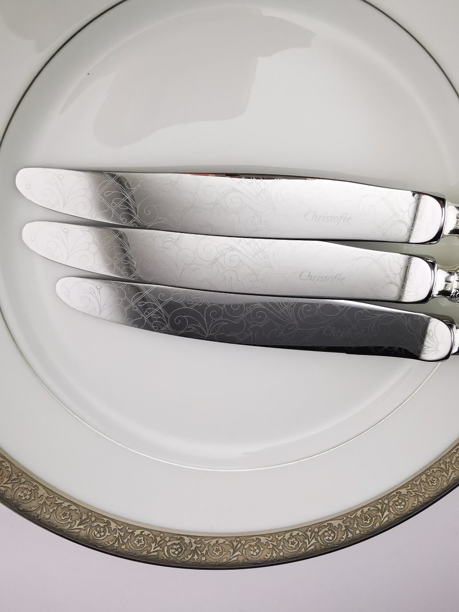 Christofle "jardin d' Eden" - 1 Table Knife 24.5 Cm - Silver-plated Metal - (several Available)-photo-4