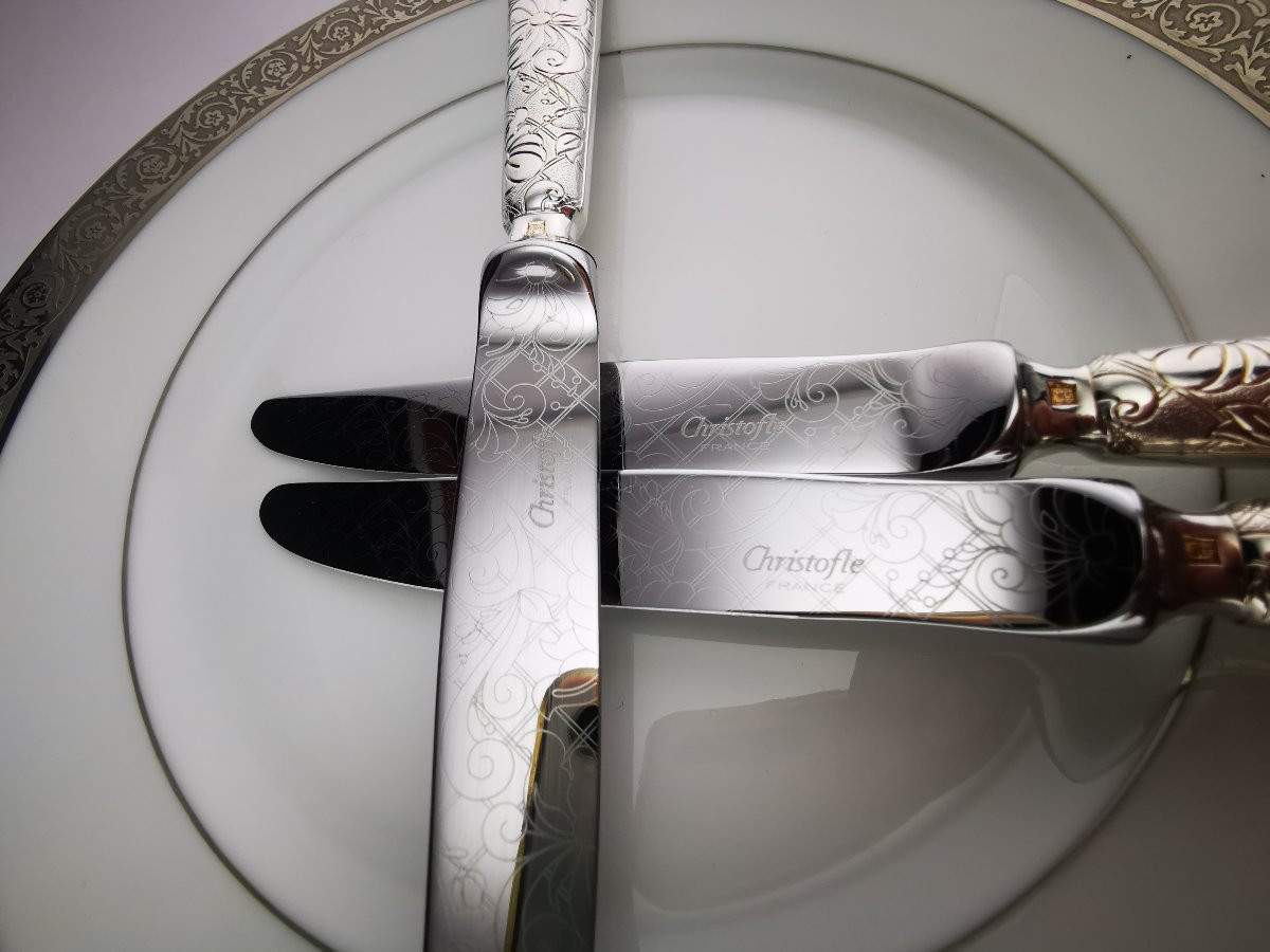 CHRISTOFLE "Jardin d'Eden" - 1 Couteau à dessert 20,5 cm - Métal argenté - (plusieurs dispo)-photo-5