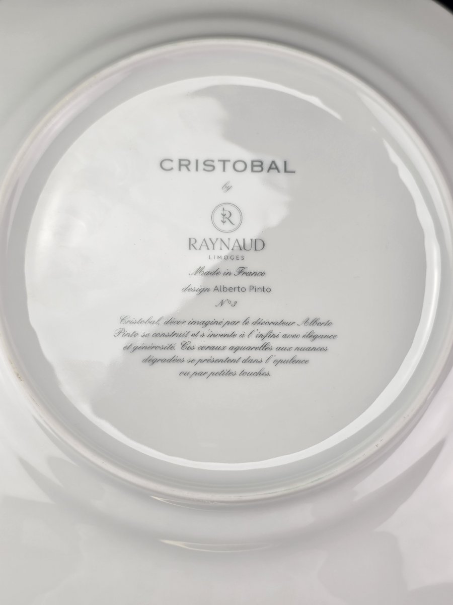 Raynaud "cristobal" Emerald - 6 Dinner Plates No. 3 - Alberto Pinto - 27 Cm-photo-1